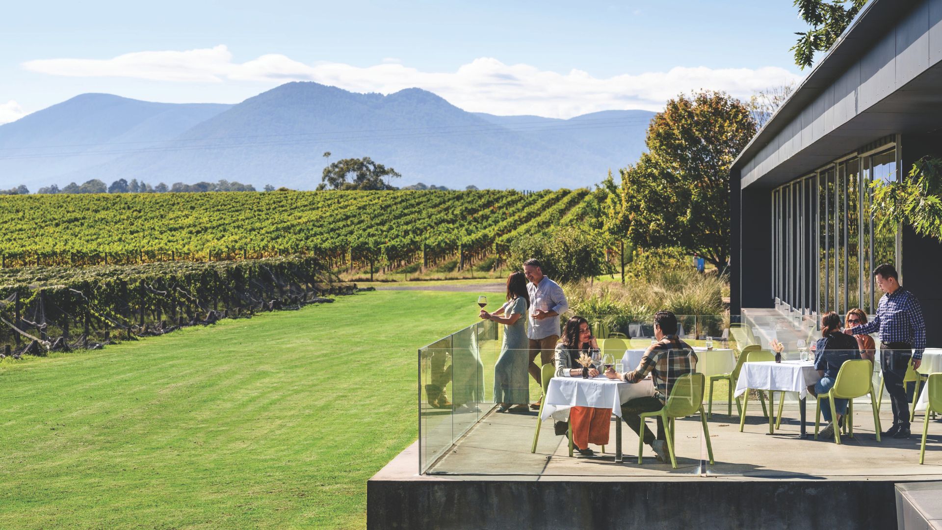 Oakridge cellar door and vineyards in Yarra Valley
