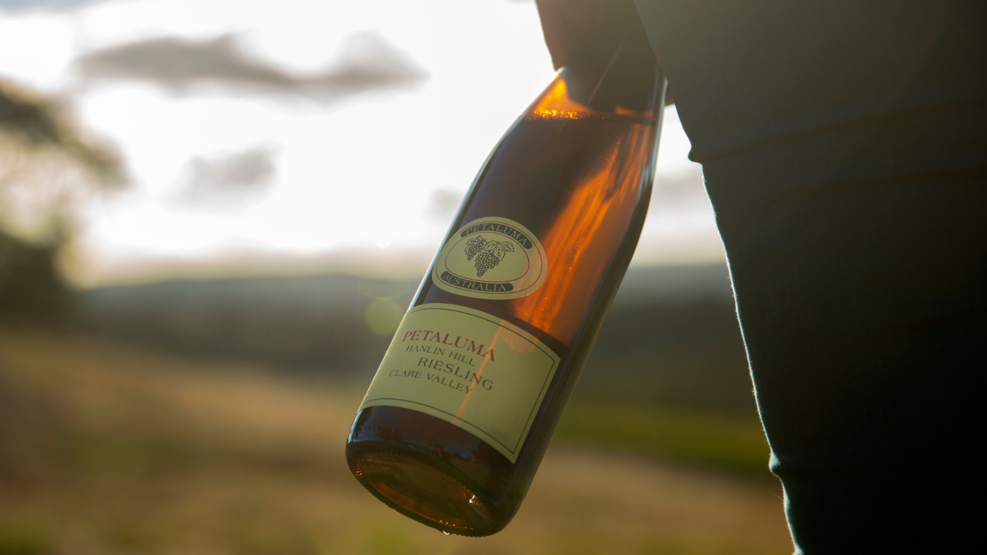 Petaluma’s 2025 Vintage Collection