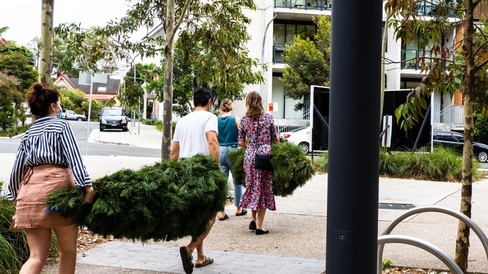Where to buy real Christmas trees in Sydney in 2025