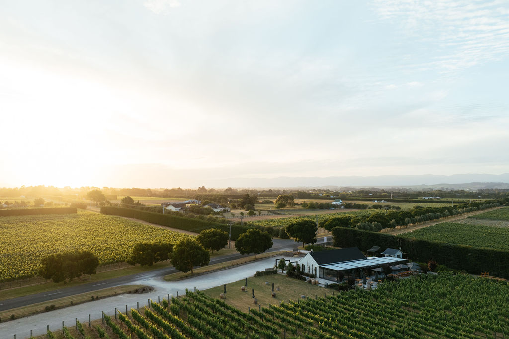 martinborough new zealand winery