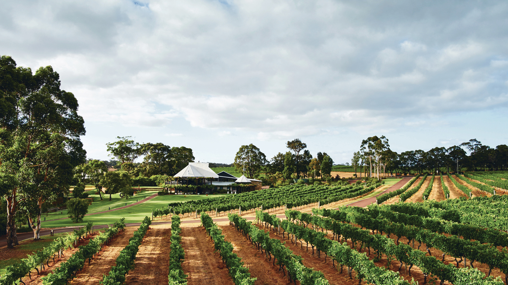 Vasse Felix winery with restaurant exterior in background