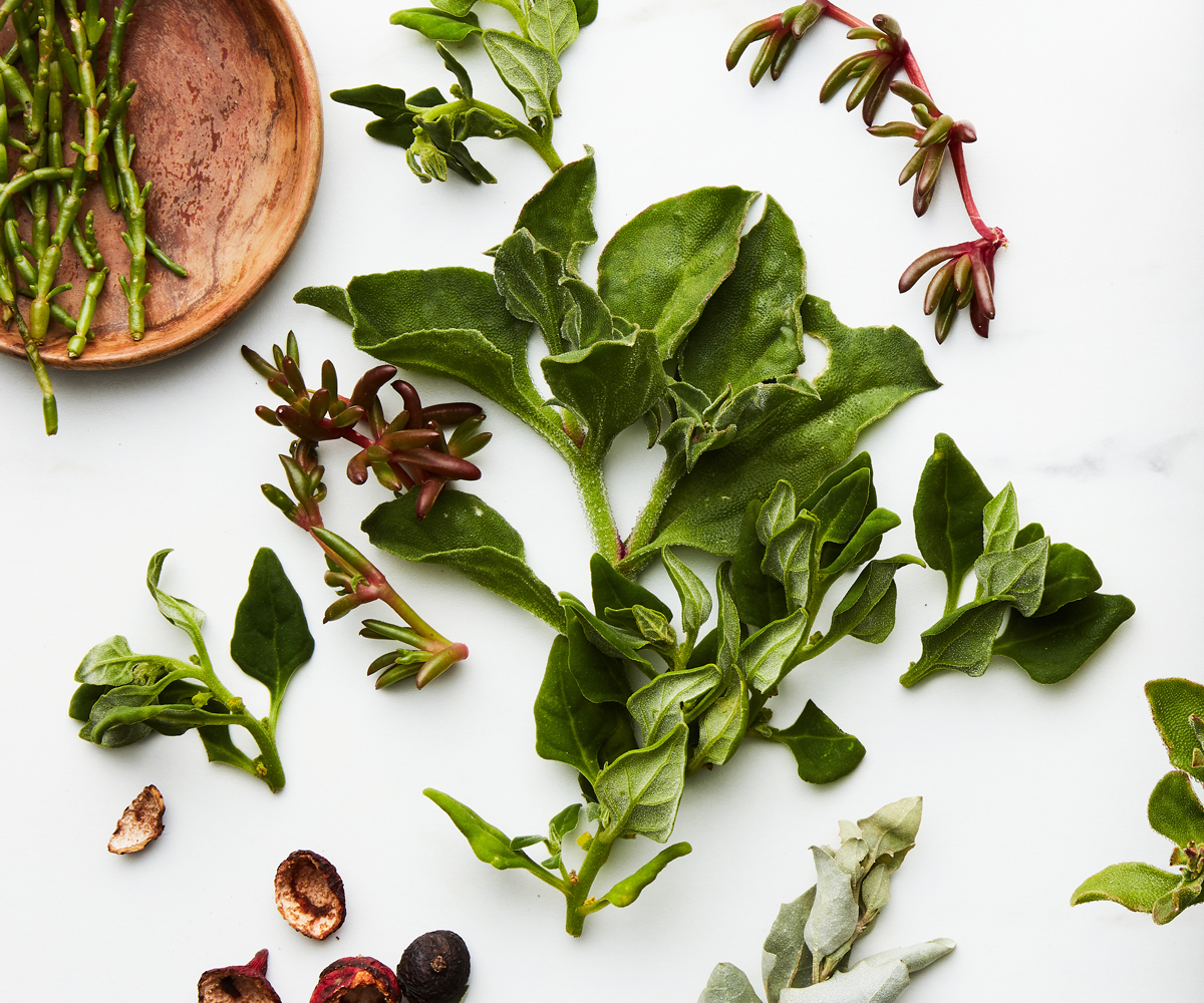 Australian native ingredients: what does the future look like