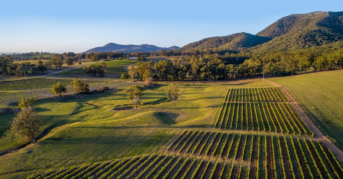 6 Wine Coffee Table Books For The Vino Lover Gourmet Traveller